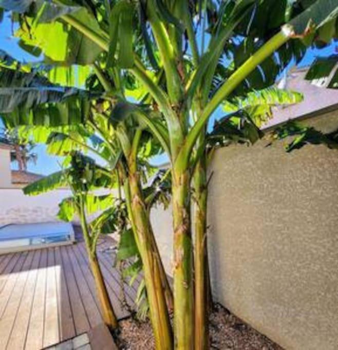 Jolie Maison Jardin Piscine Narbonne Luaran gambar